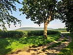 nyirlak20200810-2