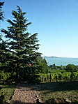P1200307a
