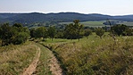 2020-08-09 16.06.35R