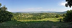 2020-08-09 15.52.43R