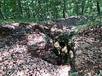 IMG_20200808_093113