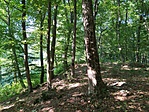IMG_20200808_094244