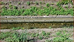 20200802_103946