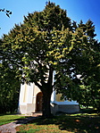 IMG_20200808_143626_resize_2