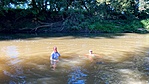 IMG_6405