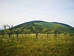 IMG_20200817_180145
