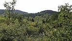 Kilátás