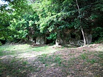 IMG_20200816_094933
