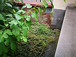 IMG_20200819_095217