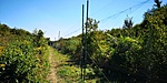 IMG_20200820_112224