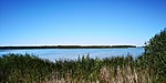 IMG_20200820_120320