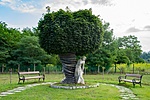 _DSC1959