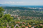 _DSC1952