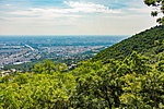 _DSC1948