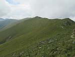 IMG_7961