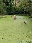 Emlékkő