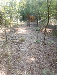 IMG_20200803_154047