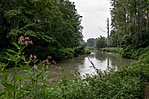 Ásványi ágrendszer