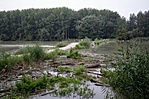 Ásványi ágrendszer