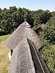 IMG_20200822_122406