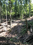 IMG_3991