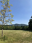 IMG_4006
