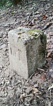 20200716_192137