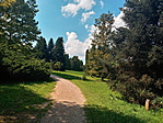 20200812_144227_HDR
