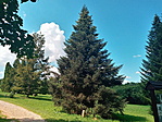 20200812_144248_HDR