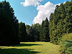 20200812_144909_HDR