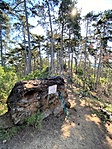 gcrep5-IMG_3844