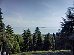 Szép park