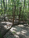 20200822_124051_mini