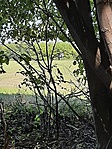 GCLaza_20200828_142019