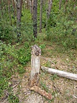 IMG_20200803_183056_