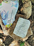 IMG_20200813_174540