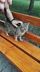 IMG_20200805_130033