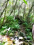IMG_20200815_144858