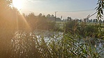 20200823_064330__1