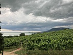 IMG_7877
