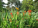 IMG_2464
