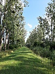 20200819_091425