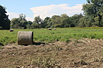 IMG_8157