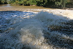 IMG_8180