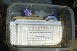 IMG_20200806_152451