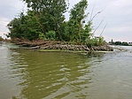 GCapsz_20200816_173956