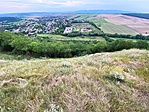 IMG_6266