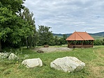 IMG_1338