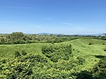 IMG_1454