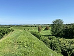 IMG_1453